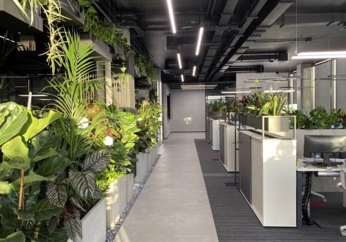 IMG_20220210_170307_855